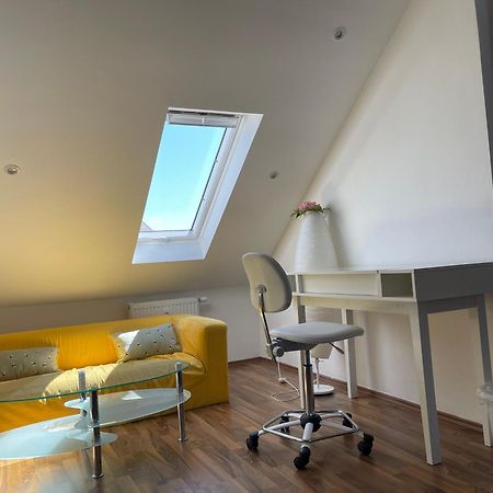 Geraeumige 3-Zimmer-Ferienwohnung Im Herzen Von Kassel Esterno foto