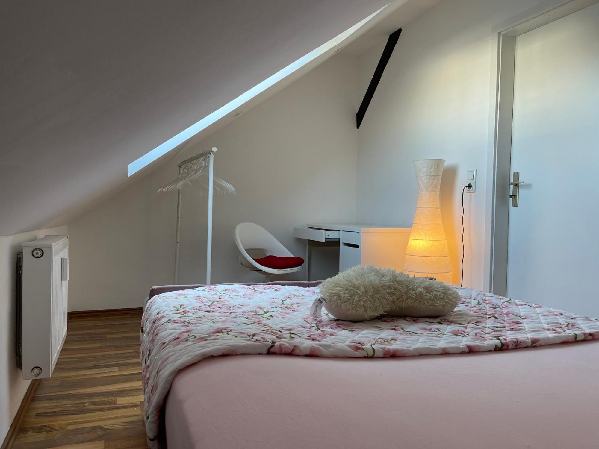Geraeumige 3-Zimmer-Ferienwohnung Im Herzen Von Kassel Esterno foto