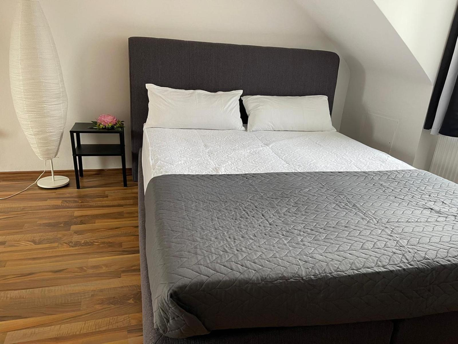 Geraeumige 3-Zimmer-Ferienwohnung Im Herzen Von Kassel Esterno foto